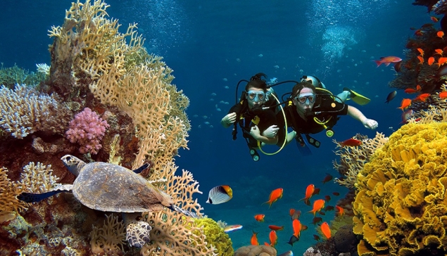 Duiken op Gran Canaria