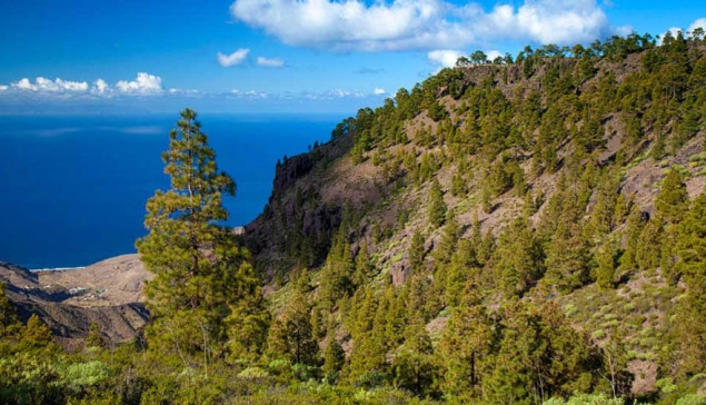 BEST Services, haal het meeste uit uw verblijf in Gran Canaria