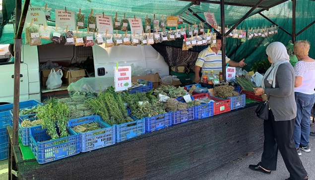 Vecindario straatmarkt