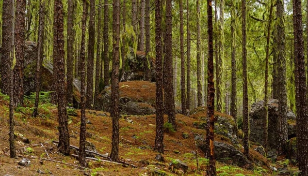 Autoroute Zuidelijk Gran Canaria