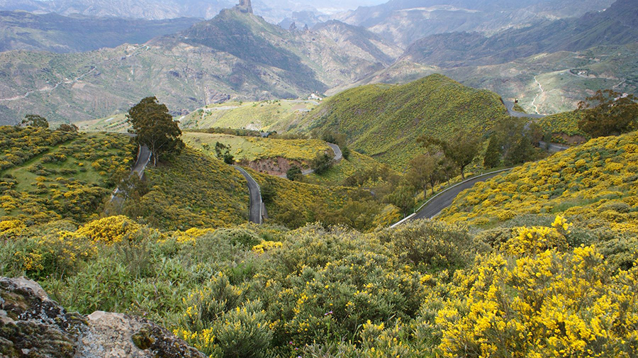 Gran Canaria voor beginners – De TOP 10 die je moet gezien hebben. Maar niet alleen voor beginners