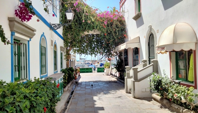 Social Mogan Meetup #5 – Let’s Keep the Magic Going! - UPDATE