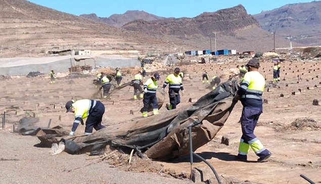 Het zuidoosten ruimt nog eens 61 hectare aan kassen op en zoekt nieuwe percelen